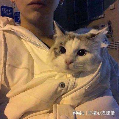 青云诛仙传游戏官方版下载