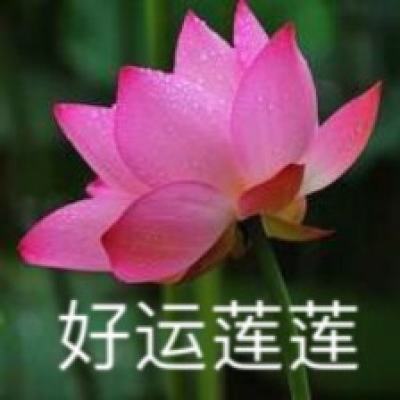育龙高手虫虫助手版下载